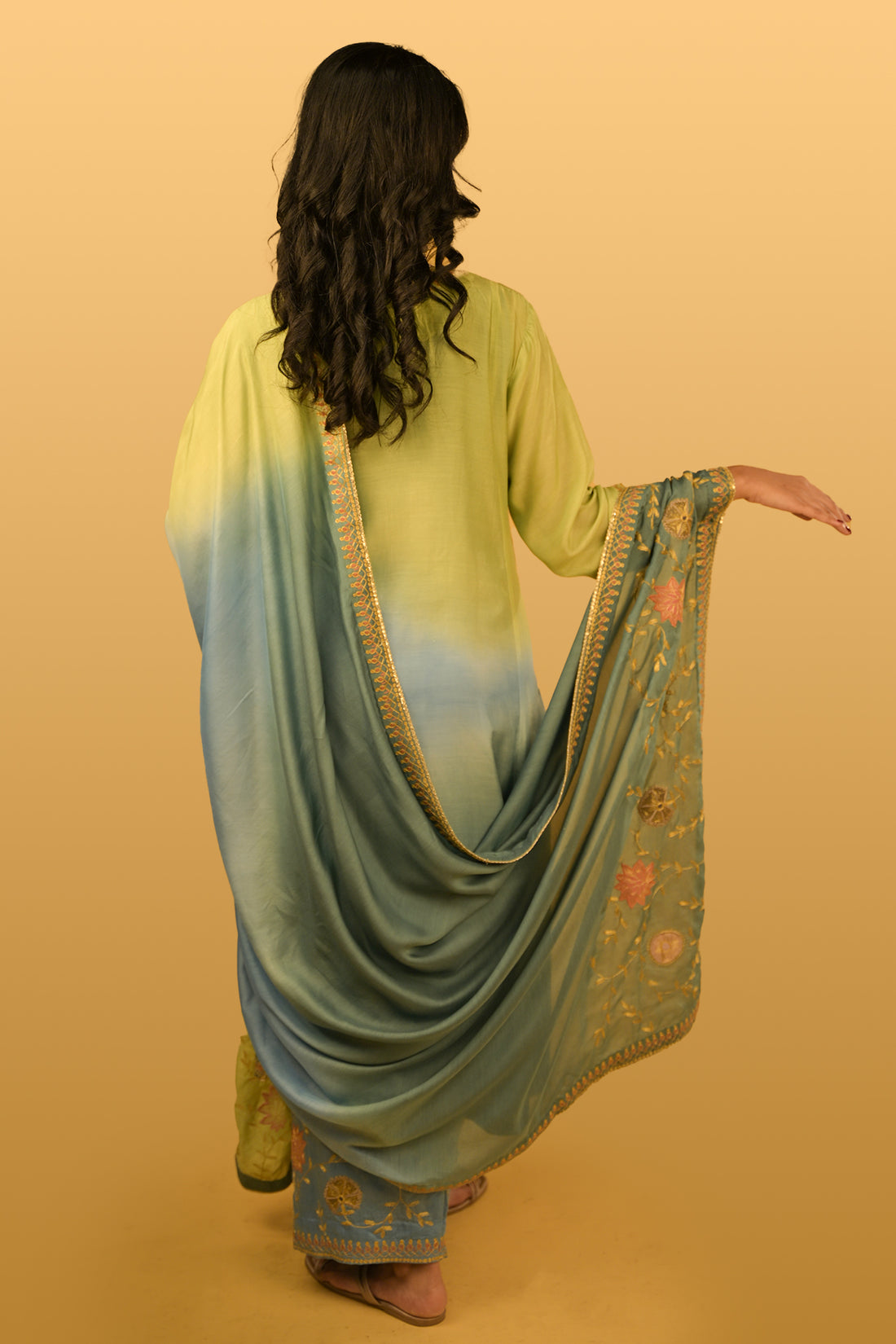 Shabnam Co-ord Set